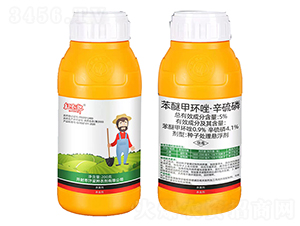 5%���Ѽ׭h(hu��n)�������ף��S��-�t����-����1