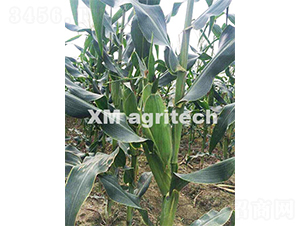 ̩��һ̖-�����׷N��-���r(n��ng)�r(n��ng)�I(y��)