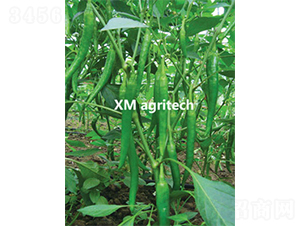 ����֮��-�����N��-���r(n��ng)�r(n��ng)�I(y��)