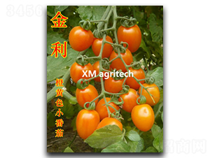 ����-���ҷ��ѷN��-���r(n��ng)�r(n��ng)�I(y��)