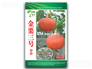 金栗三號-南瓜種子-夏農農業(yè)