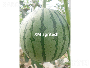 ���A-���ϷN��-���r�r�I(y��)