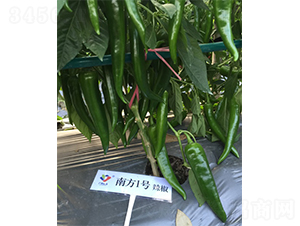 �Ϸ�1̖(h��o)-�����N��-�V�݁���