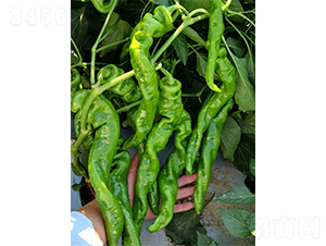 �]��626-�����N��-�V�݁���