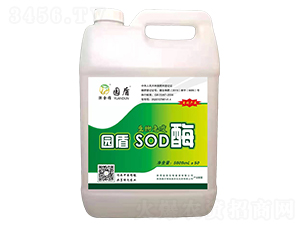 ��������SODø-�@��-�������