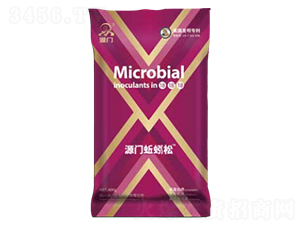 Դ�T�����΢�������-Դ�T����