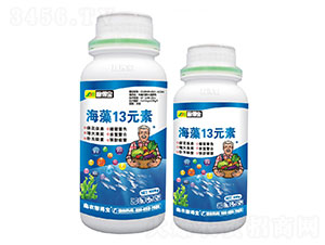 ����13Ԫ��-�ڵÌ�