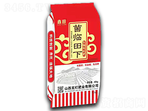 生物有機肥-菌臨田下-龍燈肥業(yè)