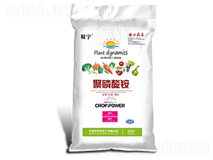 �������@-����-���_(d��)����