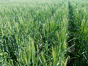 ����10̖(h��o)-С���N��-���S�N�I(y��)