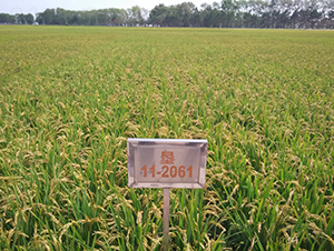 ����32-ˮ���N��-���S�N�I(y��)