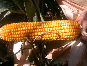 ����10̖(h��o)-���׷N��-���S�N�I(y��)