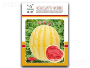 С�S��-���ϷN��-�_(t��i)���r(n��ng)�Y