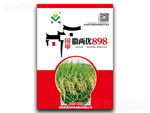 �ՃɃ�(y��u)898-ˮ���N��-���y�߿�