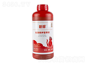 �Ǵ���⛠I(y��ng)�B(y��ng)Һ-�����m�r(n��ng)�I(y��)