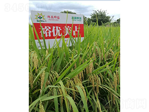 ԣ��(y��u)��ռ-ˮ���N��-�r���N��