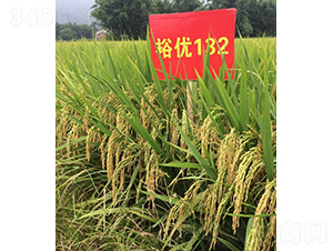 ԣ��(y��u)132-ˮ���N��-�r���N��