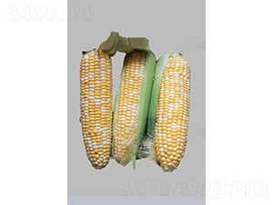 ����-���׷N��-�r���N��