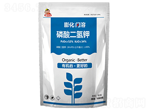 ���W����������-��T��-�f(w��n)������