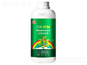 ����̼���-�f(w��n)���-�f(w��n)������