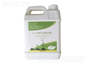 28�����|̦�؃�(n��i)��-�����m�r(n��ng)�I(y��)