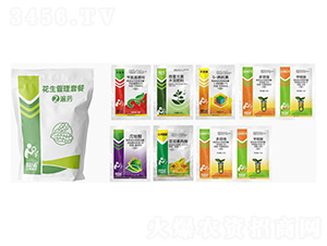 ���������ײ�2��ˎ-�������r(n��ng)