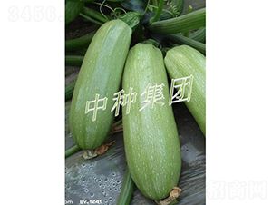 BIJOU-�����J�N��-�зN���F(tu��n)