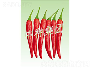 �t��08-�����N��-�зN���F(tu��n)