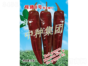 �x�v8̖(h��o)-�����N��-�зN���F(tu��n)