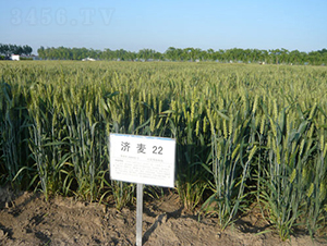 ��(j��)��22-С���N��-�зN���F(tu��n)