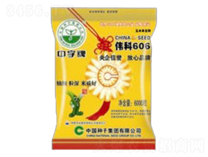 ����606-���׷N��-�зN���F(tu��n)