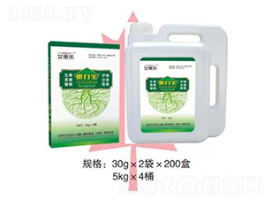 ������-��˼��