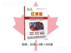 �t���-��˼��