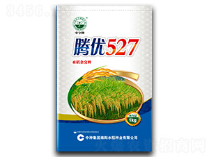 �v��(y��u)527-ˮ���N��-�зN���F(tu��n)