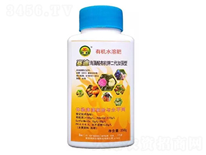 �t�Ρ������ЙC�-�t��