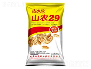 ɽ�r(n��ng)29-С���N��-ʥ�S�N�I(y��)