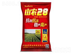 ɽ�r(n��ng)28-С���N��-ʥ�S�N�I(y��)