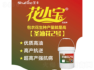 ʥ�ͻ�2̖-�����N��-ʥ�S�N�I(y��)