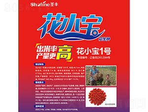 ��С��1̖-�����N��-ʥ�S�N�I(y��)