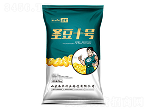 圣豆10號-大豆種子-圣豐種業(yè)