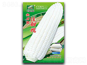 ����Ŵ-Ŵ���׷N��-ȫ�d�N�I(y��)