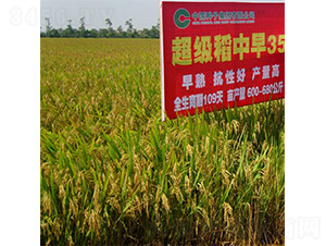 ����35-ˮ���N��-�зN���F(tu��n)