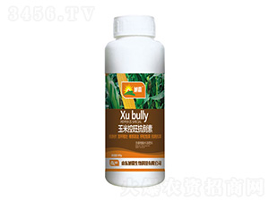 ���׿���������-������� 