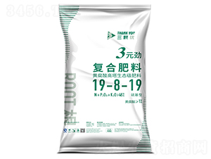 3Ԫ?ji��ng)ŏ?f��)�Ϸ���19-8-19-���w��(y��u)-�Ѭ��Y