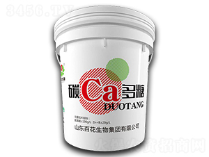 ̼�}����-�ٻ�����