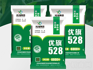 ��(y��u)��528-���׷N��-����N�I(y��)