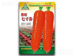 �����ߴ煢-�}���N��-ȫ�d�N�I(y��)