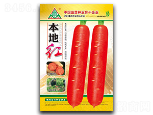 ���ؼt������-���}���N��-ȫ�d�N�I(y��)