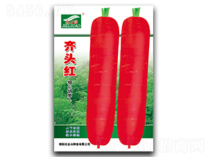 �R�^�t���}���N��-ȫ�d�N�I(y��)