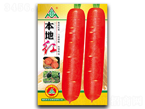 ���ؼt���}���N��-ȫ�d�N�I(y��)